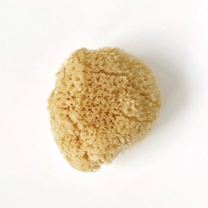 Natual Silk Sponge