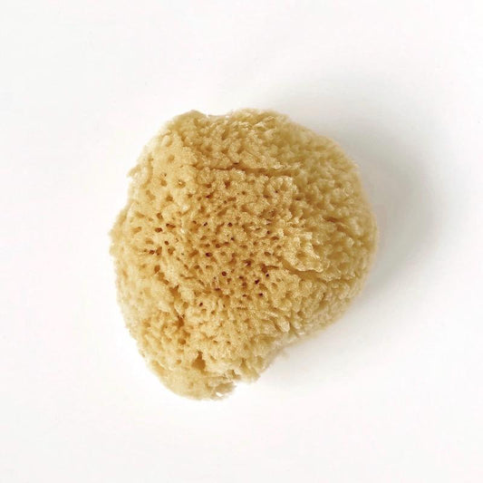 Natual Silk Sponge
